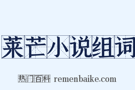 莱芒小说组词是什么意思的图片